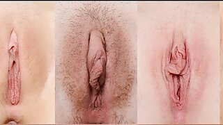 موٹے نوعمر سلٹ موڈ ا ...